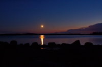 DSC_0004.jpg