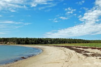 DSC_0040.jpg