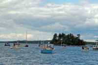 DSC_0060.jpg