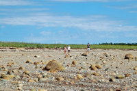 DSC_0030.jpg
