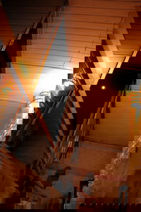 I sleep on the porch at night, this is the view from my bed looking out of the window.