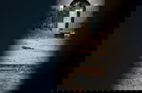 A long since neglected courtyard, and the unfortunate dog who was locked in. Quite a morbid shot, actually.