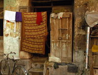 Shelter from the Storm