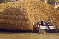 Rice Boat