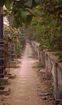 Queen Vic Memorial Park