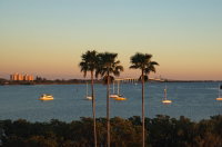 Florida Colors