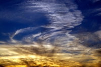 Listless Afternoon Turn Around