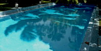 Hemingway's Pool