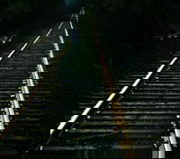 Meeting my quota of overly-saturated abstract shoot from the hip photos for the month of October.