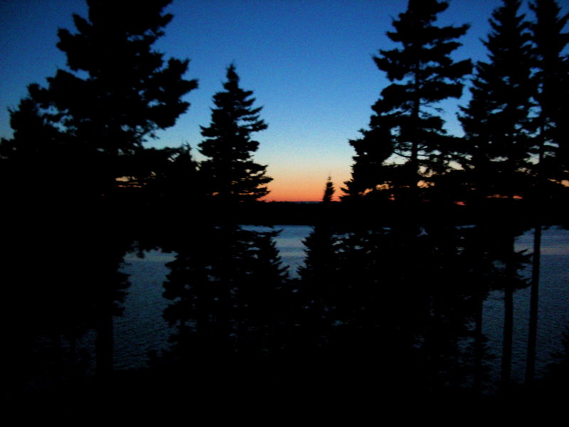 I had to tweak this a bit to have it come out as closely as possible to the real thing, hence the slight blur in the trees.  Front deck, Harrington, Maine.