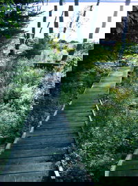 The walk down to the water from camp.