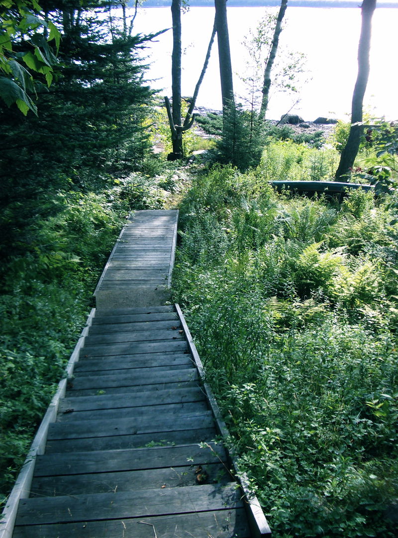 The walk down to the water from camp.