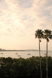 St. Petersburg, Florida