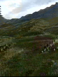 Various heights, various people and various mountains. All taken by the good sir John Holder.