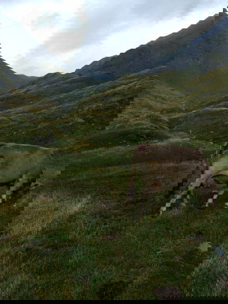 Various heights, various people and various mountains. All taken by the good sir John Holder.