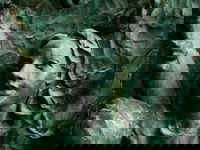 On the door to Nuestra Señora de la Almudena. The doors in general are covered in bronze reliefs, but this women/girl caught my eye especially.