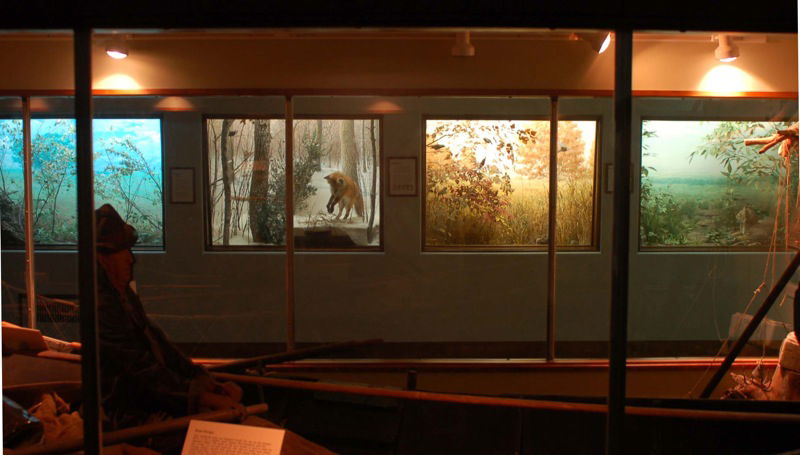 University of Kansas Natural History Museum