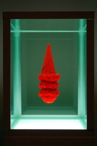 University of Kansas Spencer Museum of Art Work from Stephen Johnson 