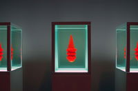 University of Kansas Spencer Museum of Art Work from Stephen Johnson 