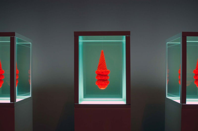 University of Kansas Spencer Museum of Art Work from Stephen Johnson 