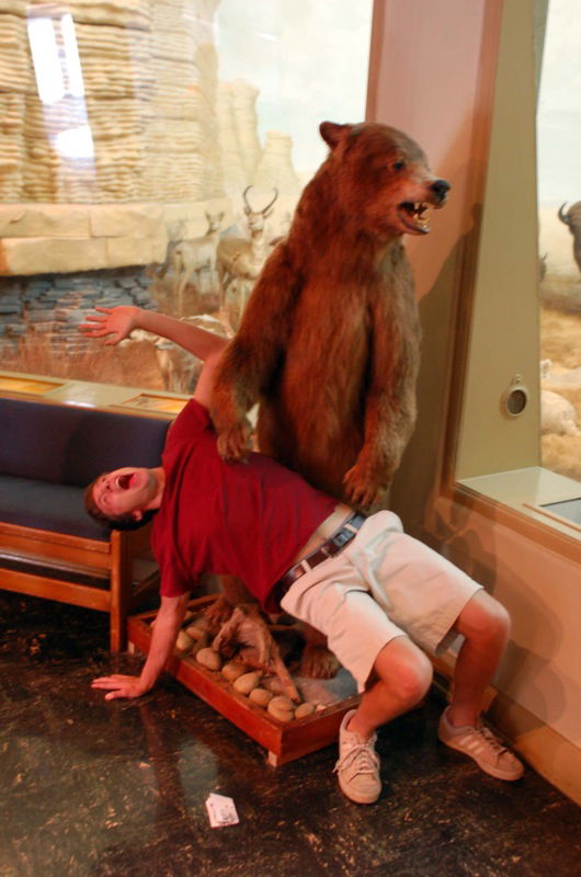 University of Kansas Natural History Museum