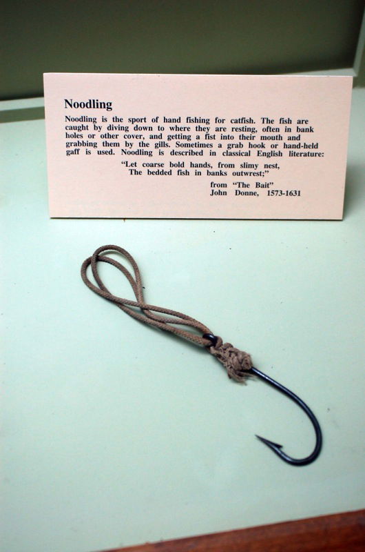 University of Kansas Natural History Museum