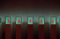 University of Kansas Spencer Museum of Art Work from Stephen Johnson 