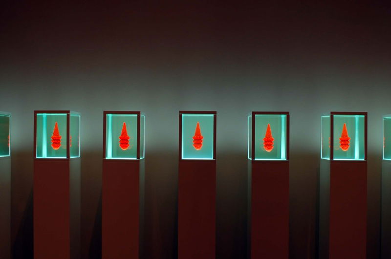 University of Kansas Spencer Museum of Art Work from Stephen Johnson 