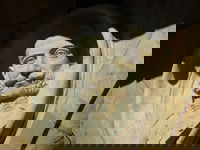 On one of the walls of the Plaza Mayor in Salamanca, Spain.