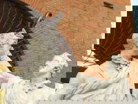 I think this is supposed to be a war memorial with a sword, but it's now been reduced to a bar fight.