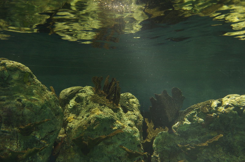 A typical tank.