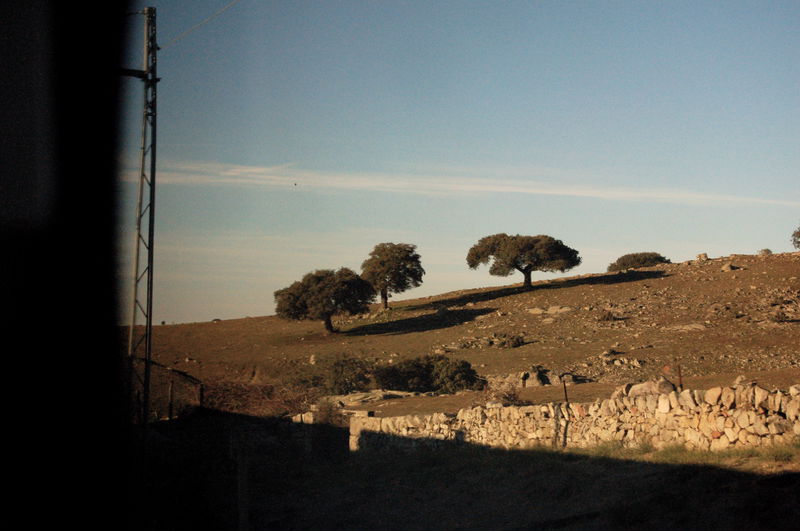 Or at least, this is what I think of when I see this picture.